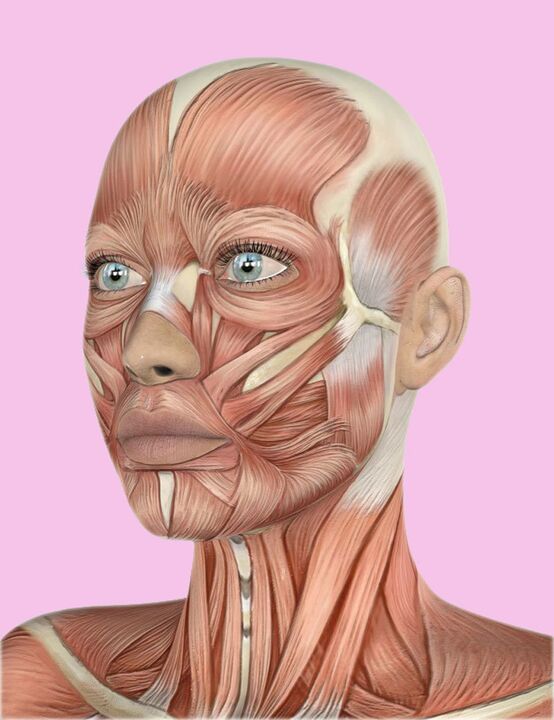 Human face fabrics