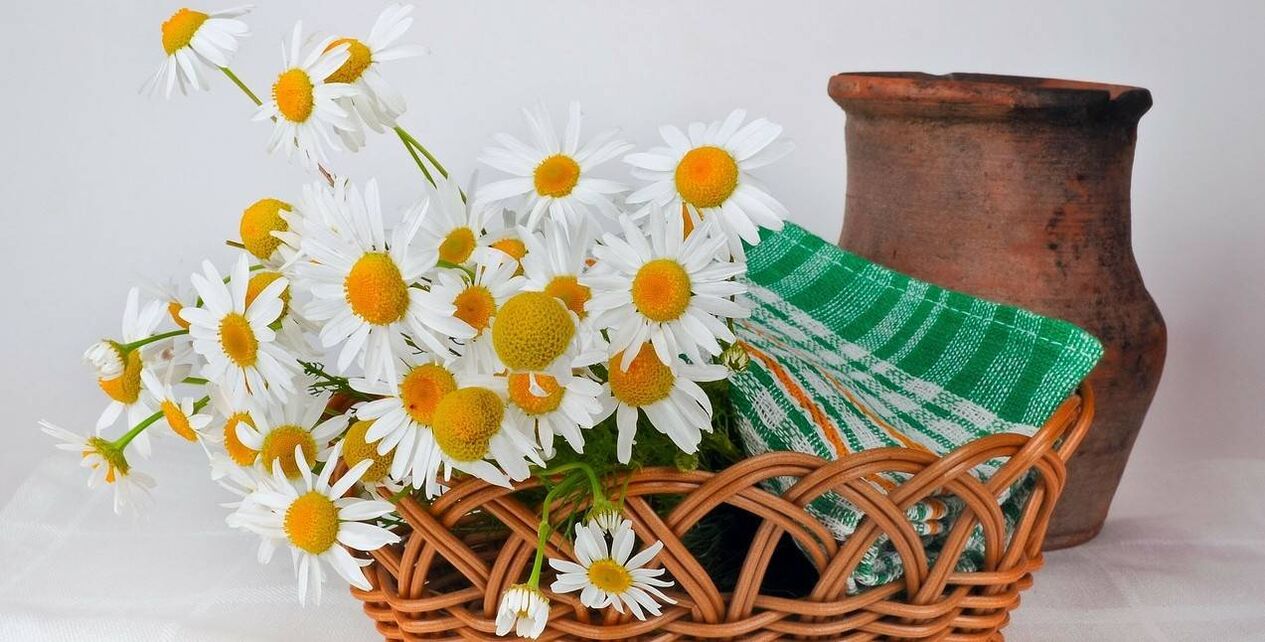 How to make a facial tonic from chamomile flowers